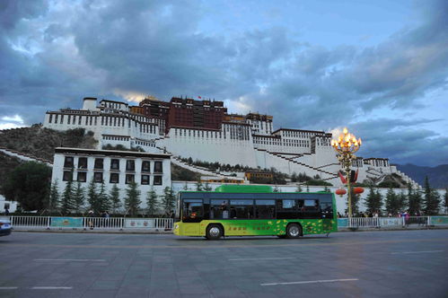 廣西科技獎勵產業化項目含金量持續攀升，三年吸金超5000億元凸顯技術服務體系價值